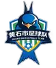 黄石队