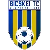 比奇斯吉
